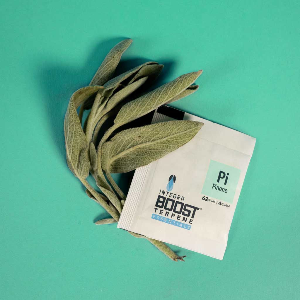 STIMULATE Variety Pack - 4 Gram Integra BOOST Terpene Essentials