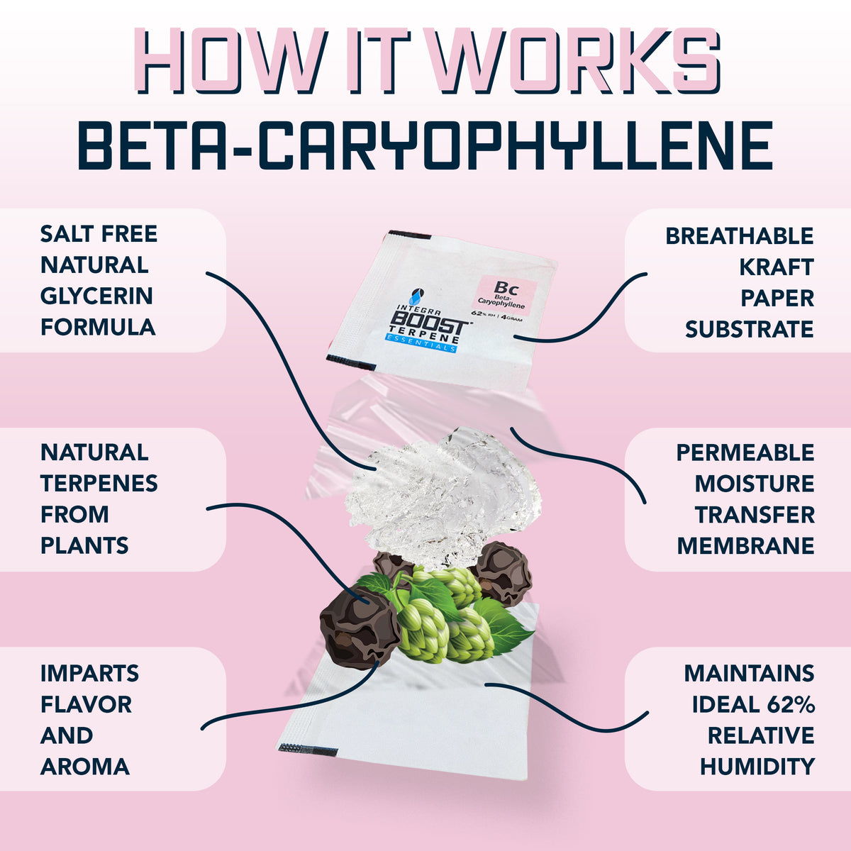 Beta-Caryophyllene Infusion - Integra Boost Terpene Essentials - 67 Gram Size (for 1lb)