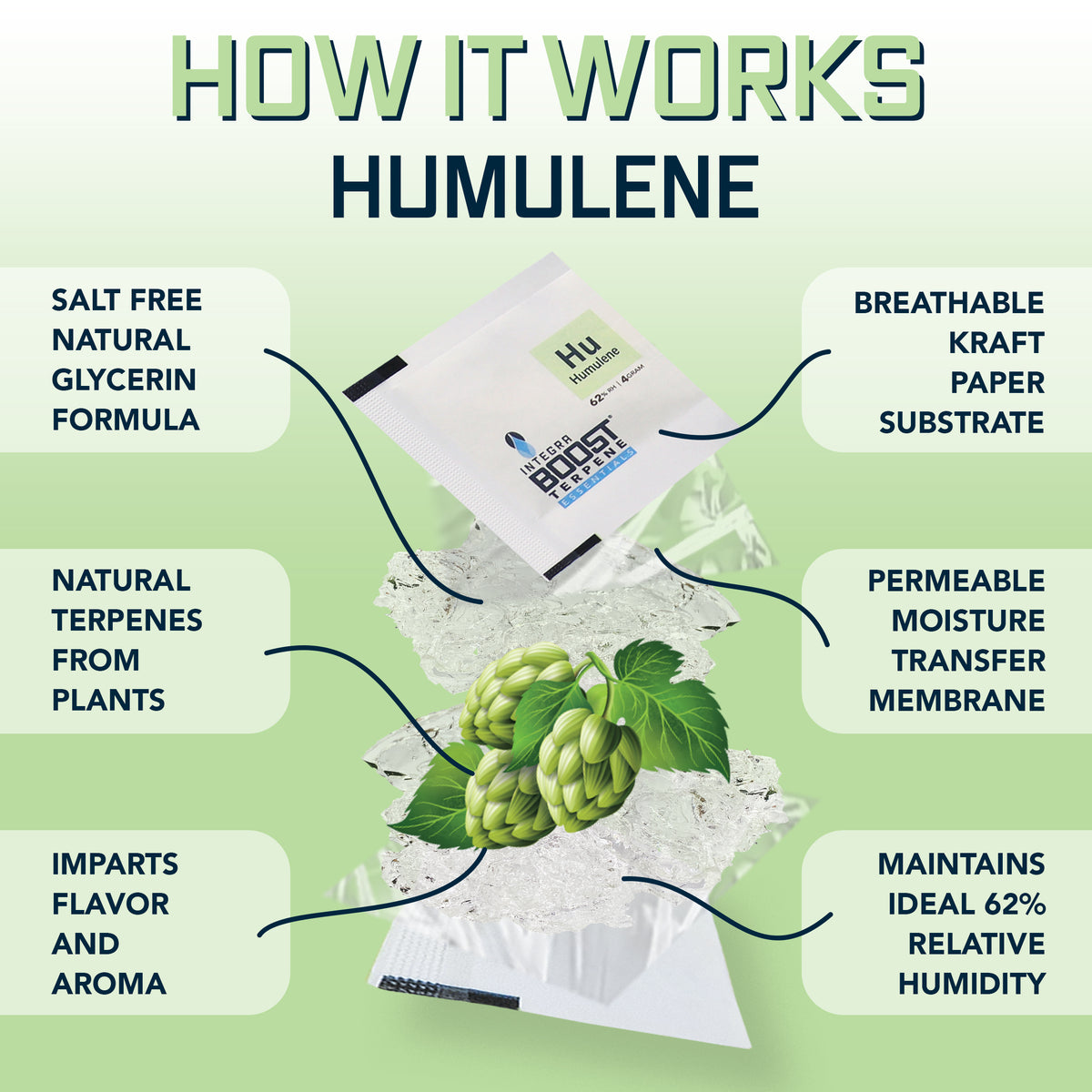 Humulene Infusion - Integra Boost Terpene Essentials - 67 Gram Size (for 1lb)