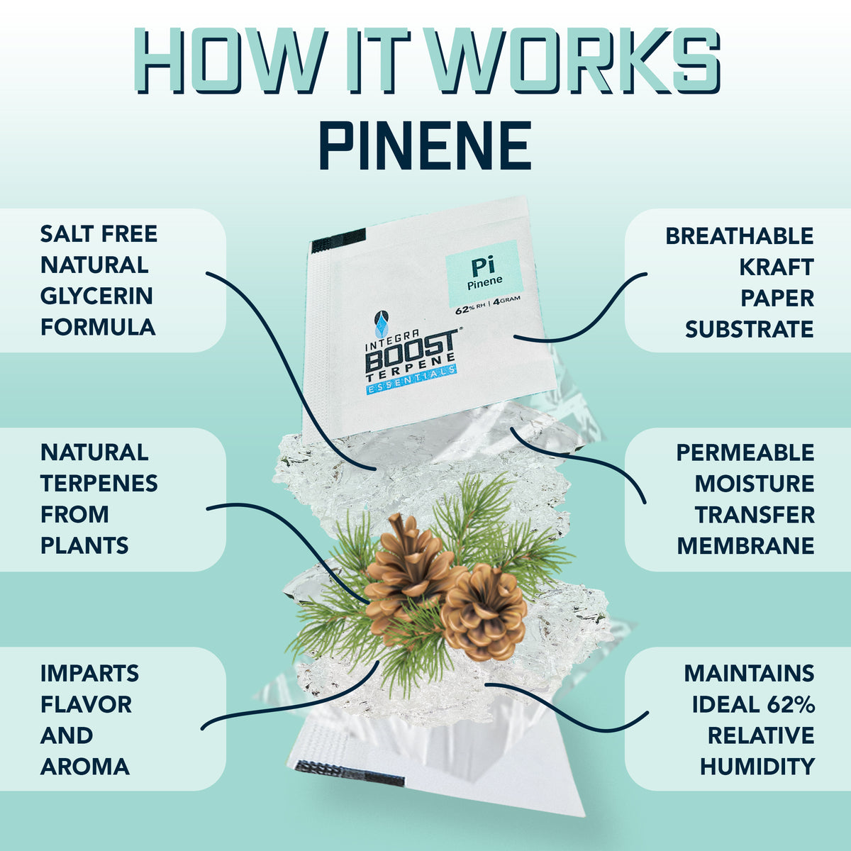 Pinene Infusion - Integra Boost Terpene Essentials - 67 Gram Size (for 1lb)