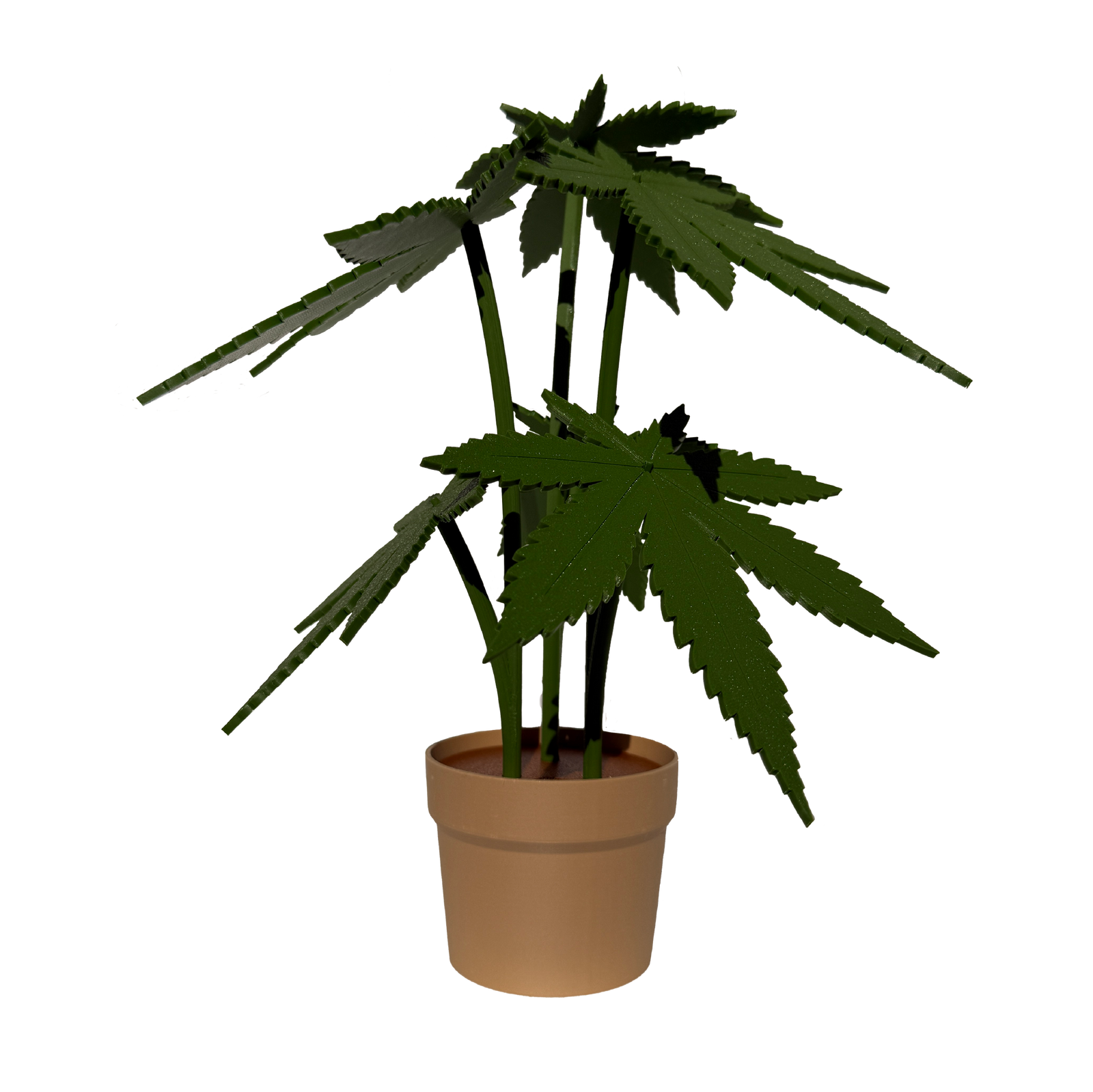 Gift Guide