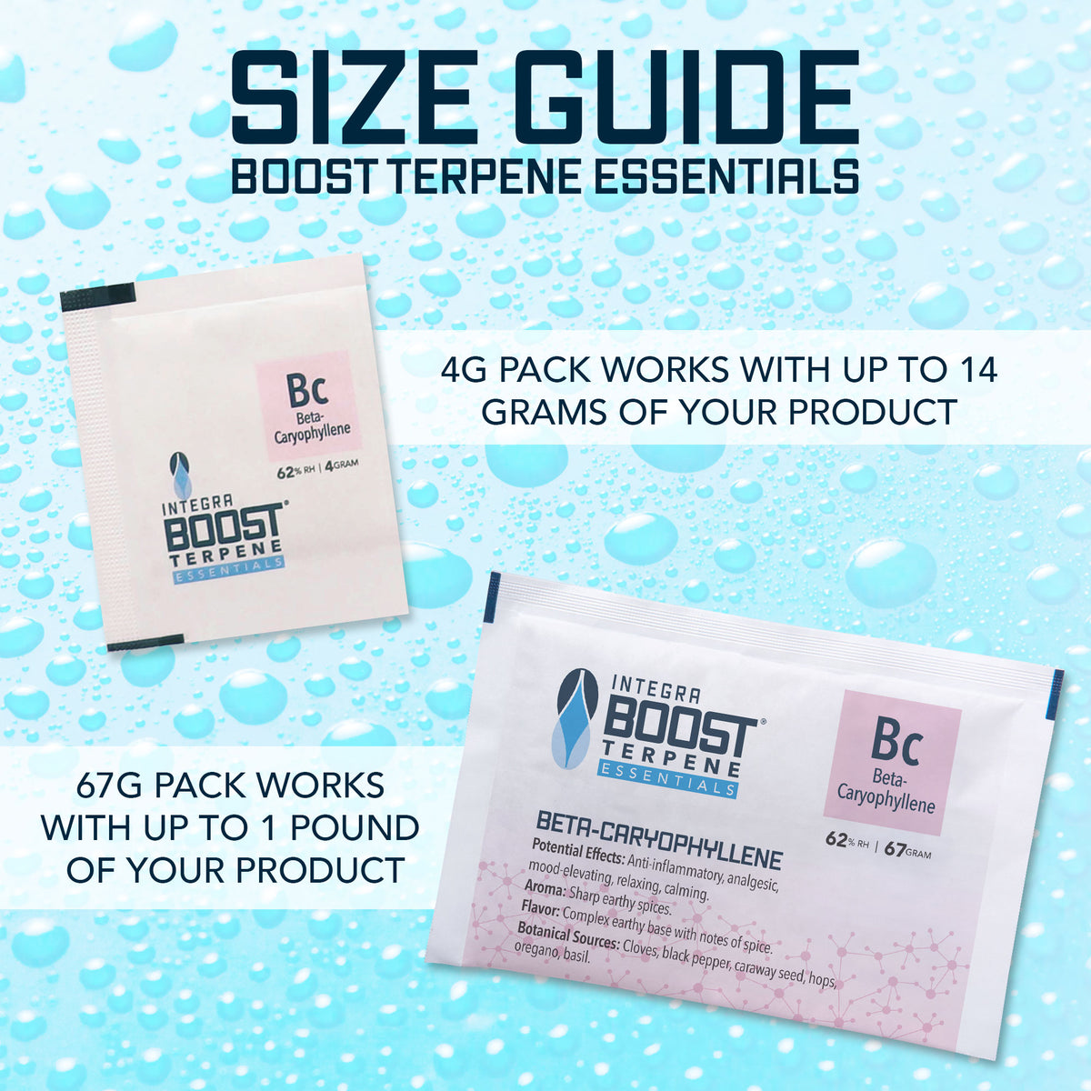 Beta-Caryophyllene Infusion - Integra Boost Terpene Essentials - 67 Gram Size (for 1lb)