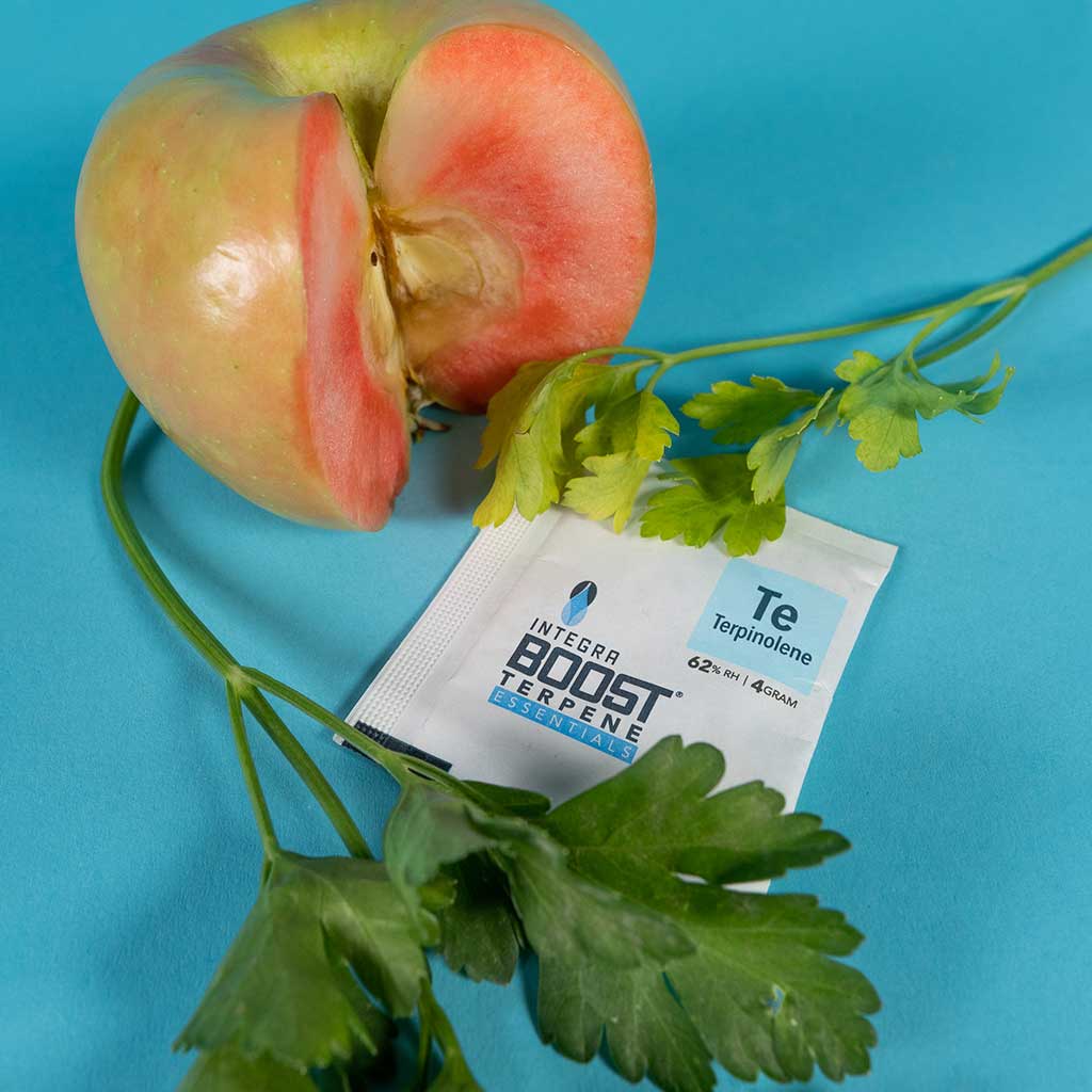 4 Gram Integra BOOST Terpene Essentials: Terpinolene