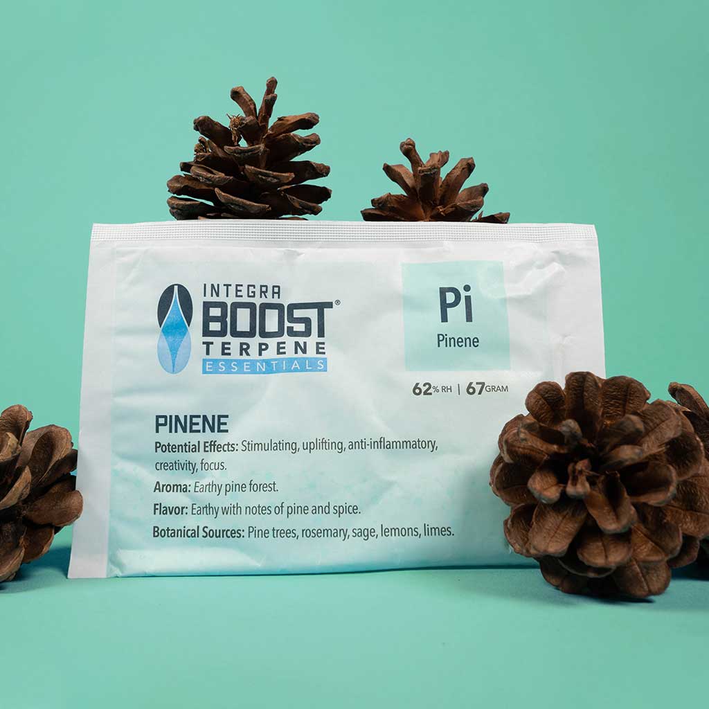 67 Gram Integra BOOST Terpene Essentials: Pinene
